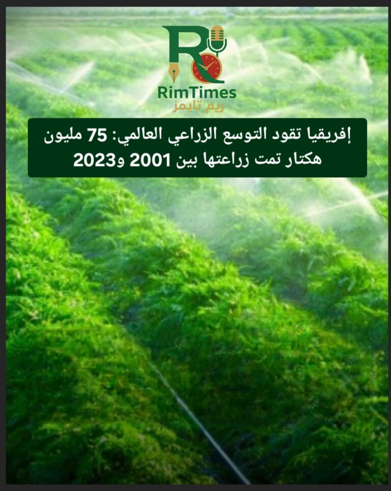 20250728_201245