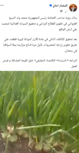 الوزير الأول: الاكتفاء الذاتي من الأرز تجسيد عملي لرؤية السيادة الغذائية