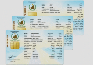 مديرية النقل توضح أسباب تأخر البطاقات الرمادية وتعلن إجراءات تنظيمية الجديدة